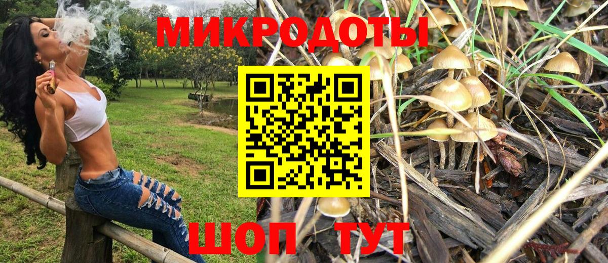 Псилоцибиновые грибы мицелий Фролово