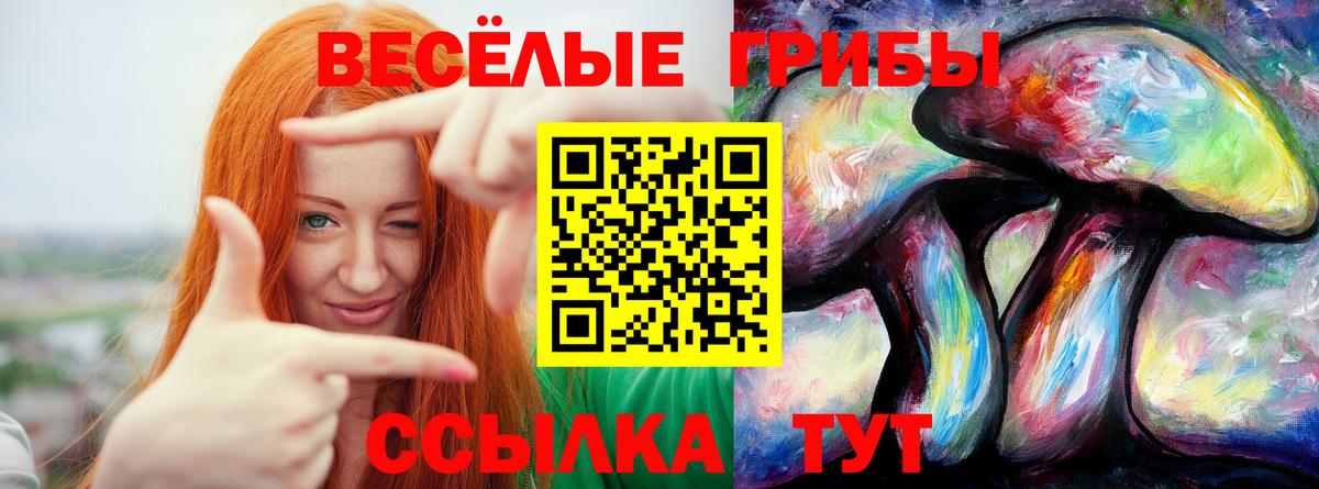 Галлюциногенные грибы Cubensis  Псилоцибиновые грибы мухоморы  Фролово  Вход с VPN 